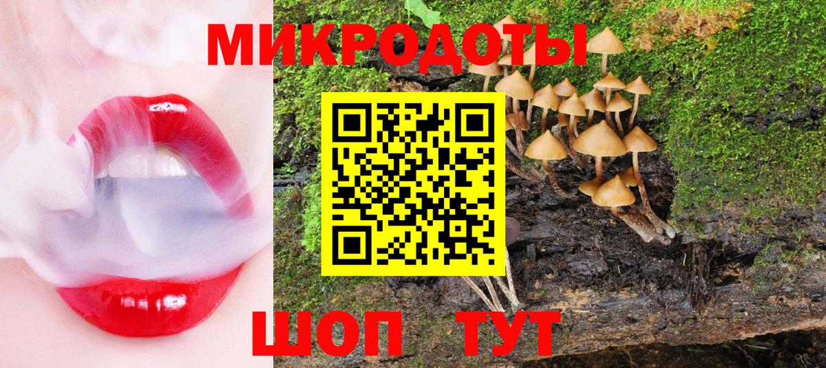 Псилоцибиновые грибы MAGIC MUSHROOMS  Галлюциногенные грибы GOLDEN TEACHER  Азнакаево  Вход с VPN 